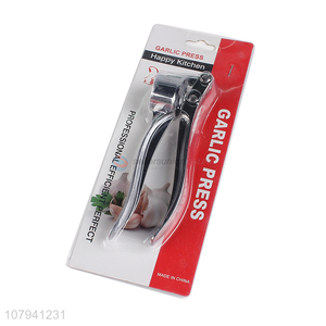 Professional silver stainless steel household kitchen garlic press wholesale