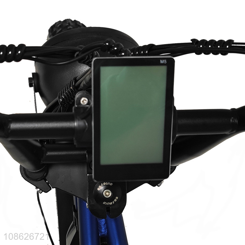 Popular products off-road electric bicycle fat tire mountain bike