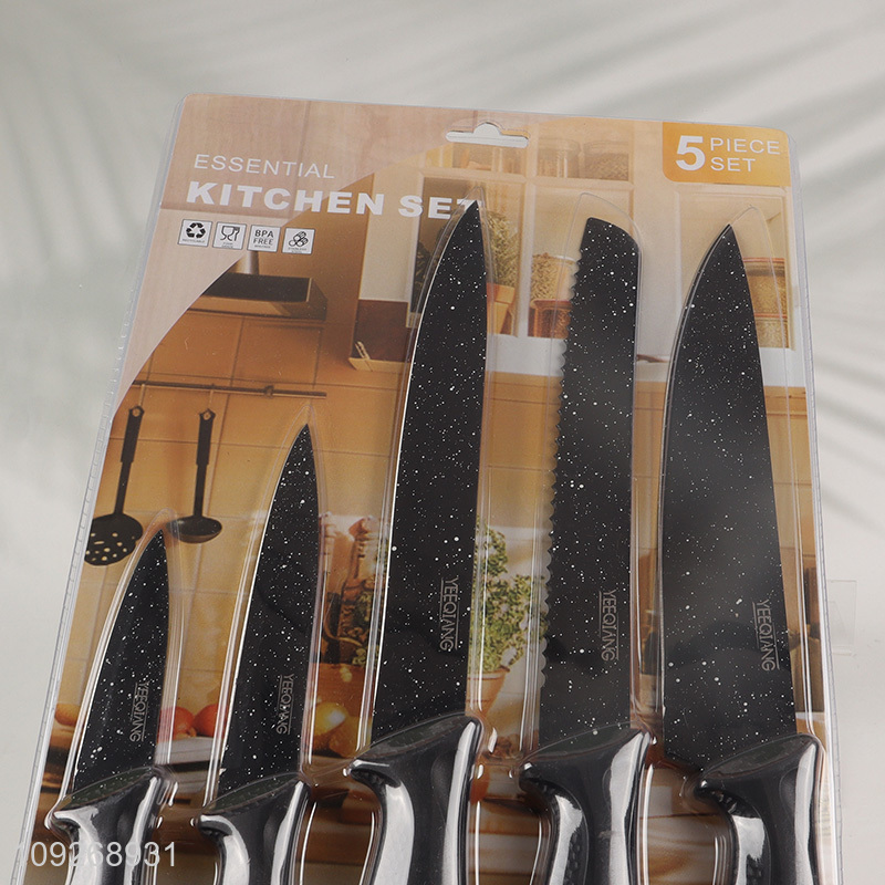 Factory Supply 5 Pieces Stainless Steel Kitchen Knives Multi-Purpose Chef Knives Set
