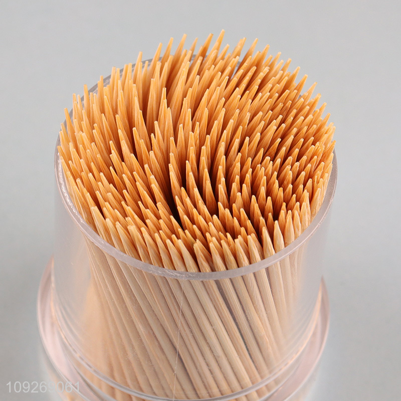 China factory cactus shape box refined bamboo toothpick for sale