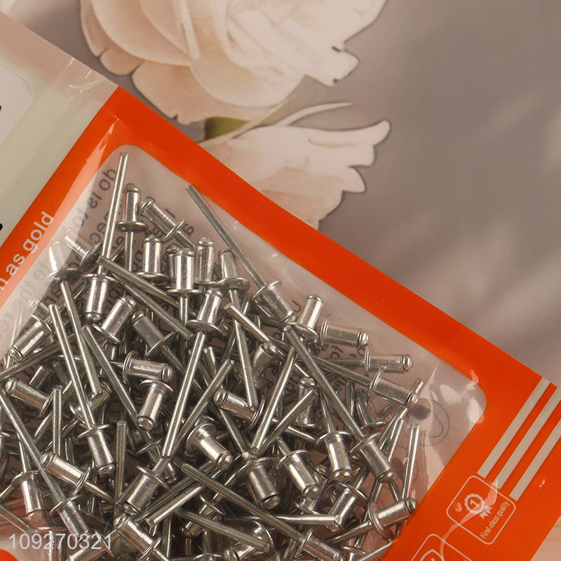 Low price 100pcs professional blind rivet hardware iron nail