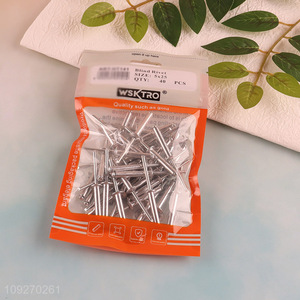 Top selling 40pcs 5*25mm professional blind rivet hardware iron nail