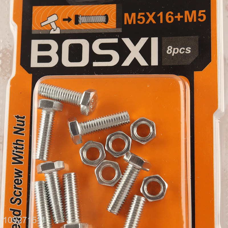 Hot product iron hardware accessories hex head screw with nut