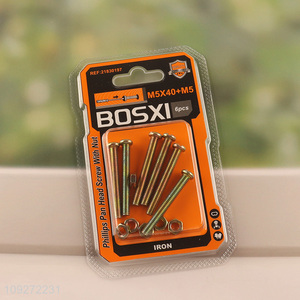 China Wholesale Iron Screws and Nuts Set Fastener Kit