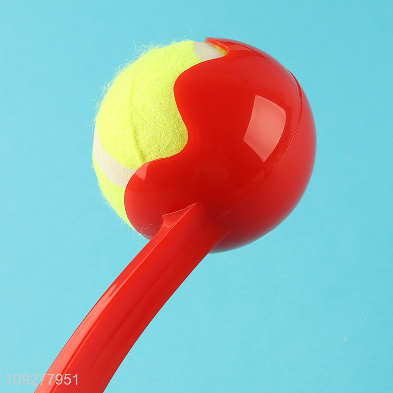 Hot selling outdoor pet throwing ball toys dog interactive toys