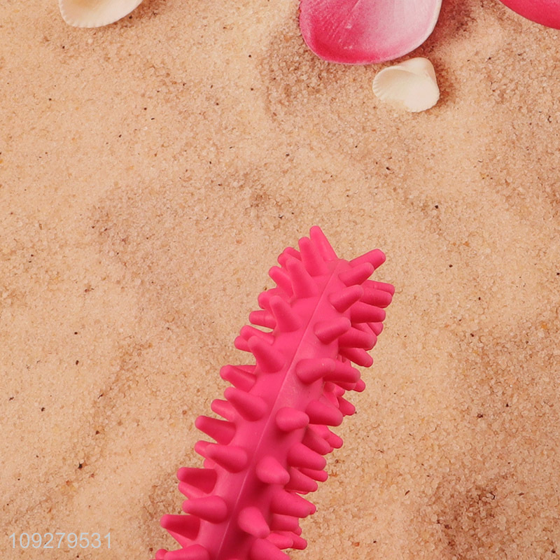 China products pet teeth cleaning pet chew toys teething toys