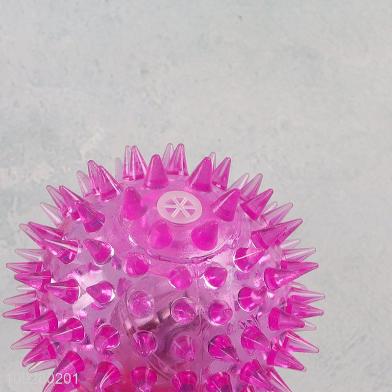 China wholesale indoor outdoor pet interactive toys pet ball toys