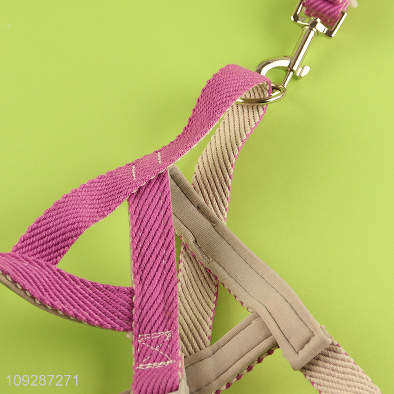 Top products adjustable pet supplies pet collar pet leash