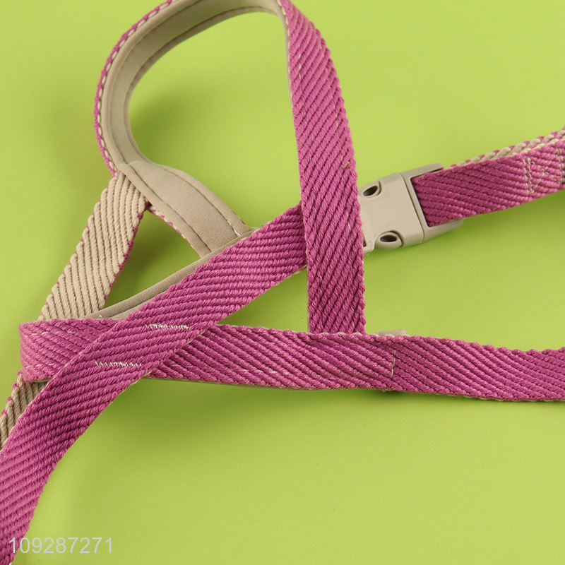 Top products adjustable pet supplies pet collar pet leash