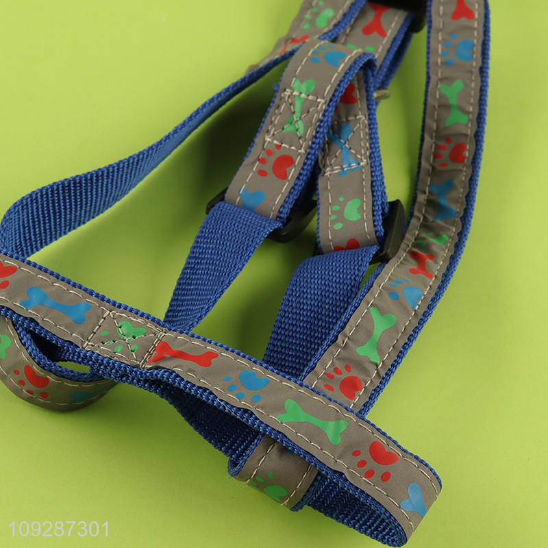 Hot selling comfortable pet collar pet leash wholesale