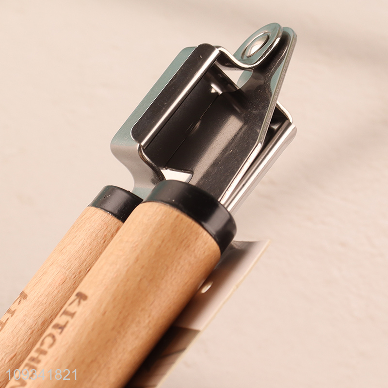 China products kitchen gadget garlic press for sale