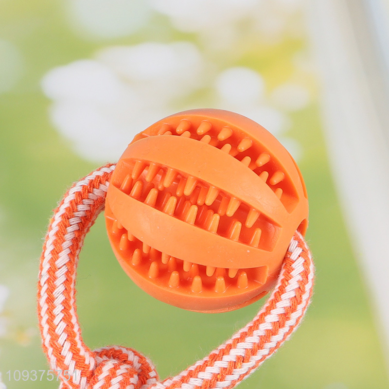 Good quality bite-resistant pet teething toys chew toys
