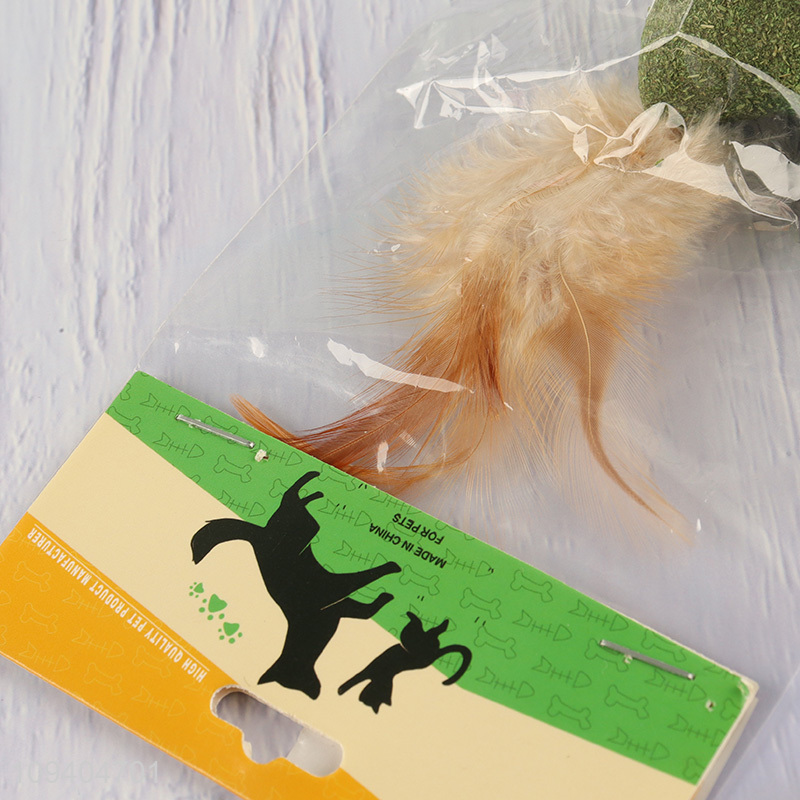 China products cat catnip toy chew toys