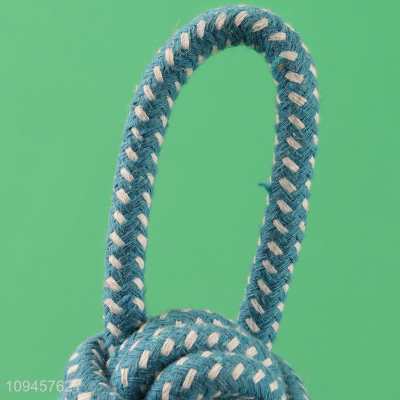 Hot selling blue pet chew toys interactive toys