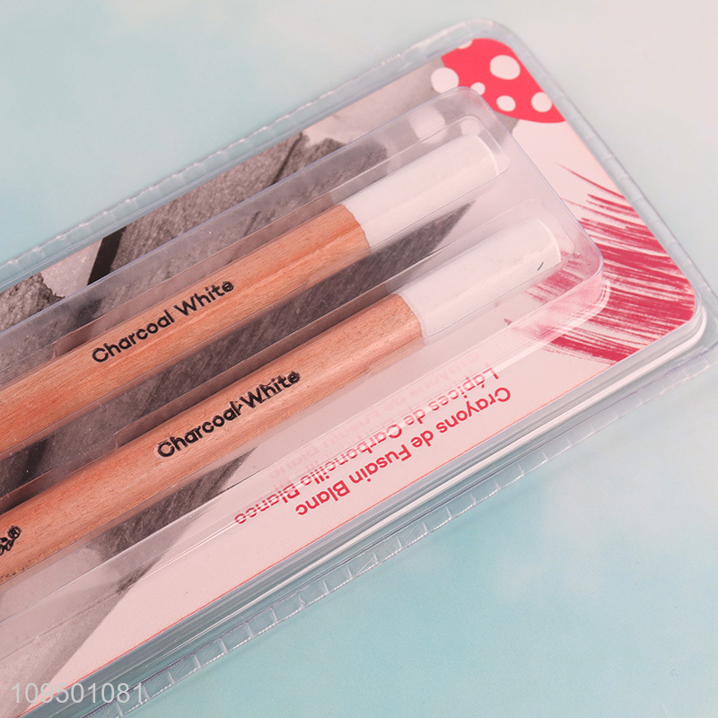 Hot products 2pcs white charcoal pencils set