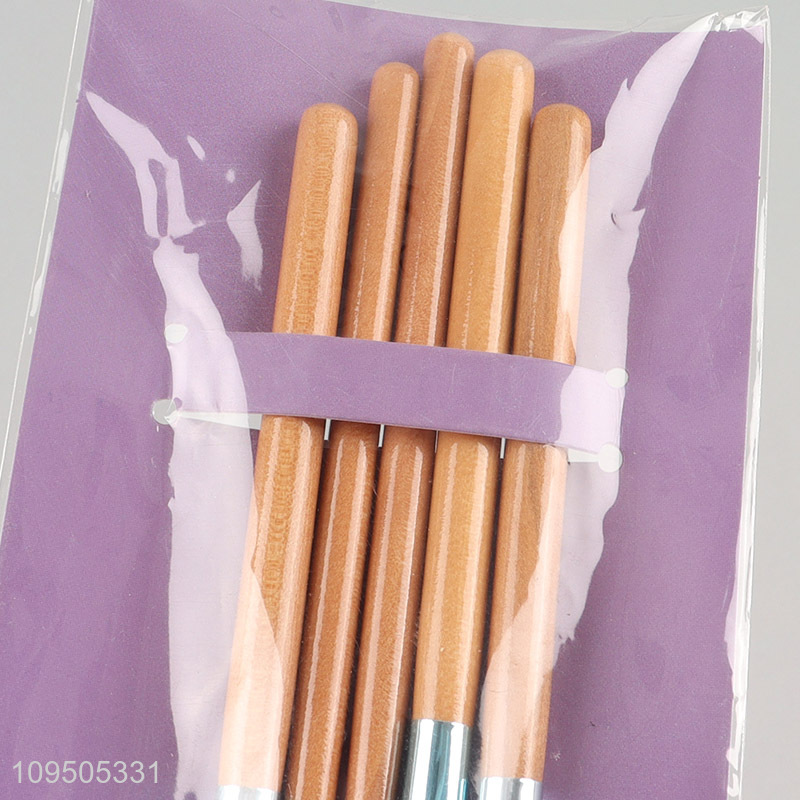 Wholesale 5pcs makeup brush cosmetic brush set